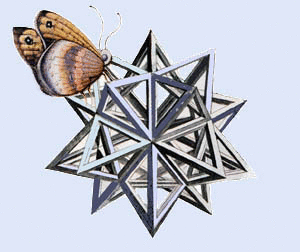 Liceo Scientifico Augusto Righi di Cesena (FC) Liceo Scientifico Augusto Righi di Cesena (FC)